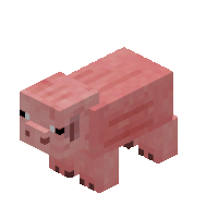 Pig Pig